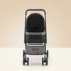 Pet Stroller Foldable 4 Wheels Travel Dog Stroller Reversible Handle Up To 44lbs